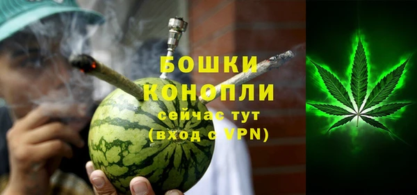 ПСИЛОЦИБИНОВЫЕ ГРИБЫ Белоозёрский