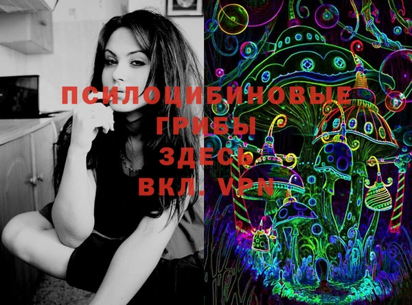 гидропоника Богородск
