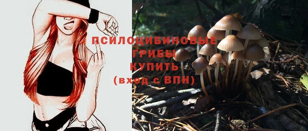 первитин Беломорск