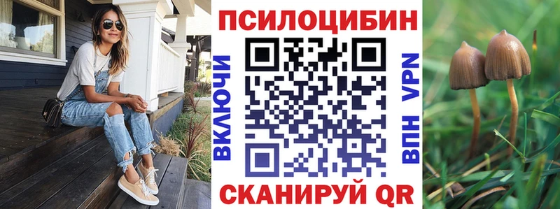 Галлюциногенные грибы прущие грибы  Калязин 